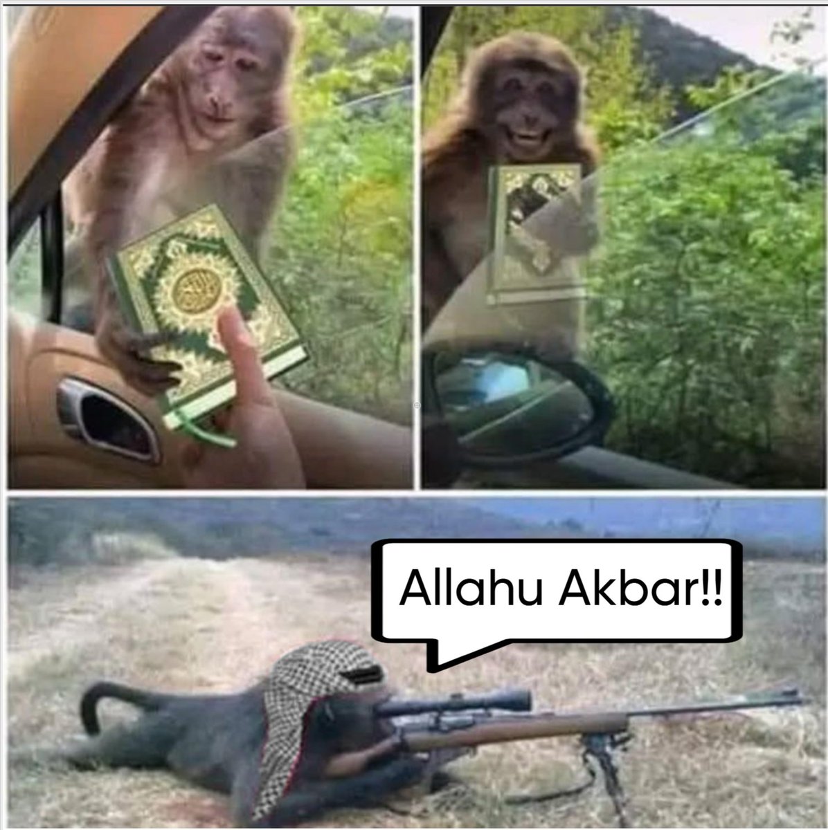 What Islam does to monkeys ...

#Islam #Jihad