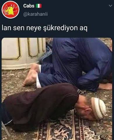 måneskinn tweet media