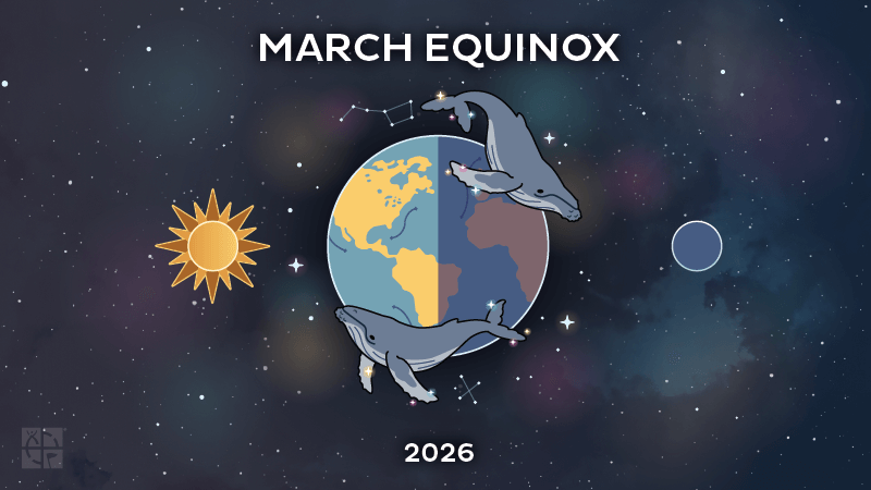 🌗 Earn your March equinox souvenir between March 19 and March 22 by logging any #geocache, Event, or Adventure Lab® Location. 🌗

🐋 tinyurl.com/56ksy46a 🐋

As humpback whales migrate with the seasons, geocachers move with the spirit of discovery.

#geocaching