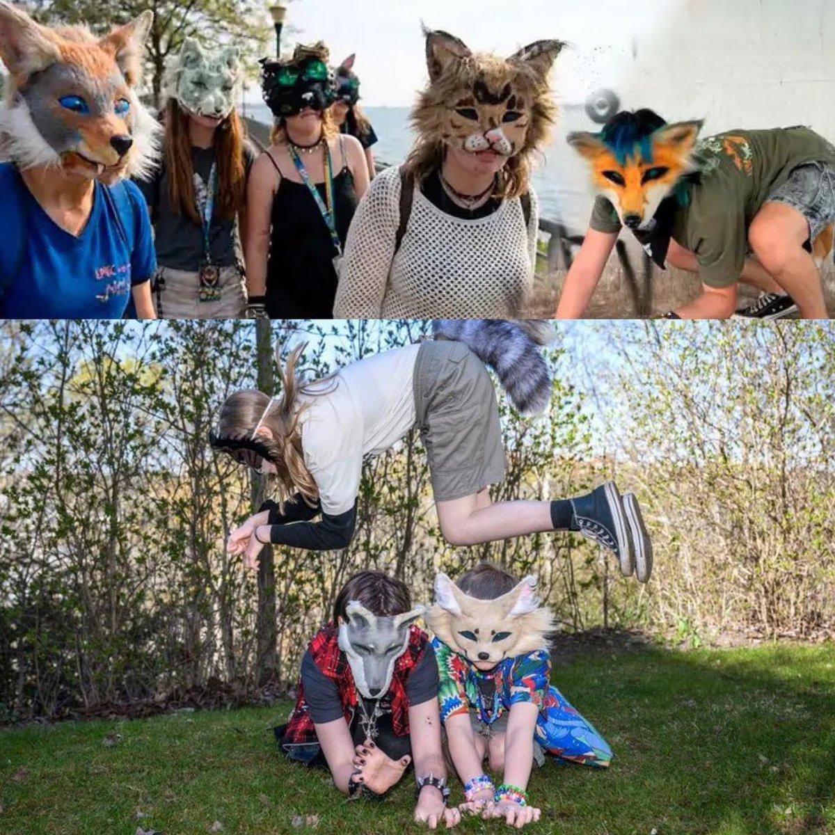 THERIANS ?? 🐺🐶

Estimados padres 👨‍👩‍👧‍👦

Si tu hij@ se autopercibe como animal 🐾 y sobre todo como un perro 🐕, no lo regañes ❌, acompáñalo 🤝, acéptalo ❤️, respétalo 🙏

Y ayúdalo haciendo que sea lo más real posible… 🐶

Hazlo dormir en una casa de perro 🏠🐕, enséñale a