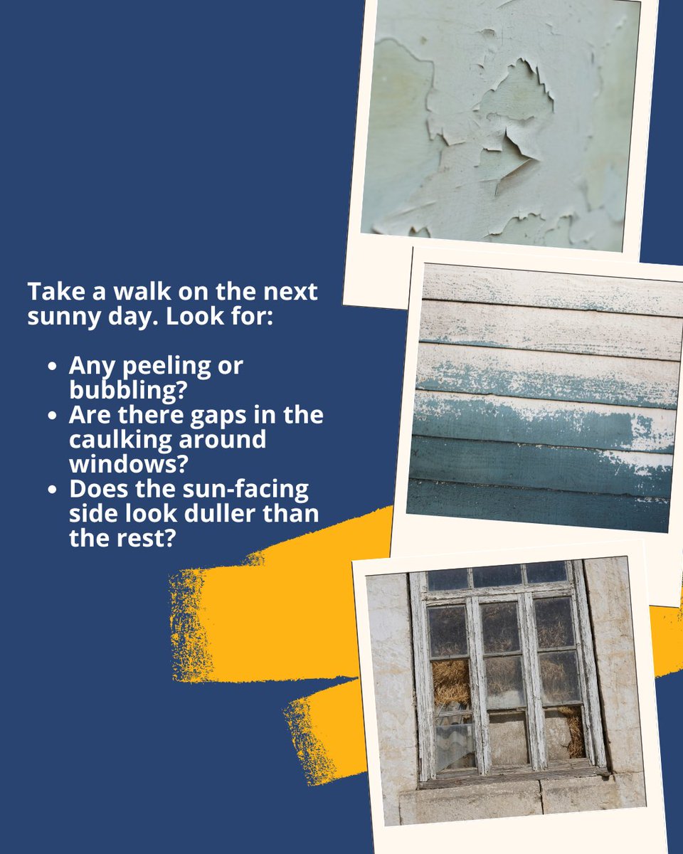 Paintzen tweet media