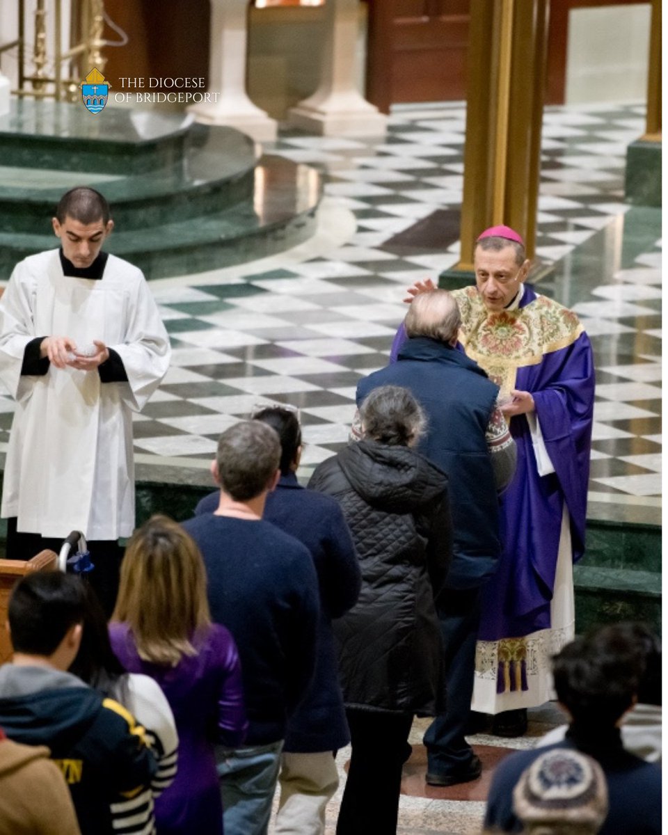 Diocese of Bridgeport tweet media