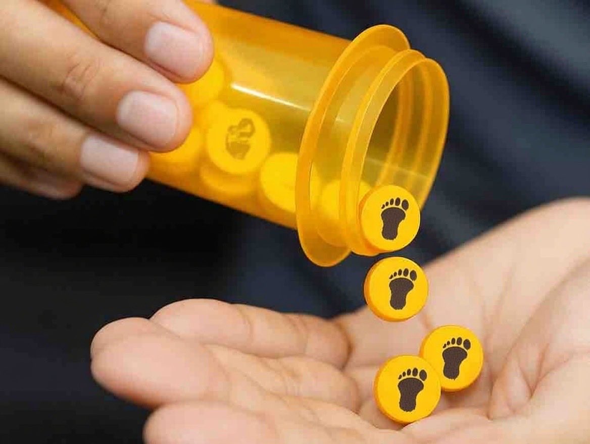 Dear Community Members,

The Big Foot project stands as a unique and resilient initiative within the crypto space, and we remain fully committed to its long-term success and development.

To demonstrate our dedication and provide meaningful value to our supporters, we are pleased