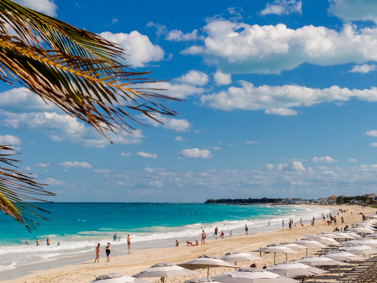 RWBimini's tweet image. A quick trip turned long weekend? Exactly how it should be 🌴 

Buy one night get the second on us or buy two and get the third for free with our #BOGO package!

Includes round trip ferry, #Hotel stay, access to #Bimini Beach and live entertainment 🔗 bit.ly/46RWOxU