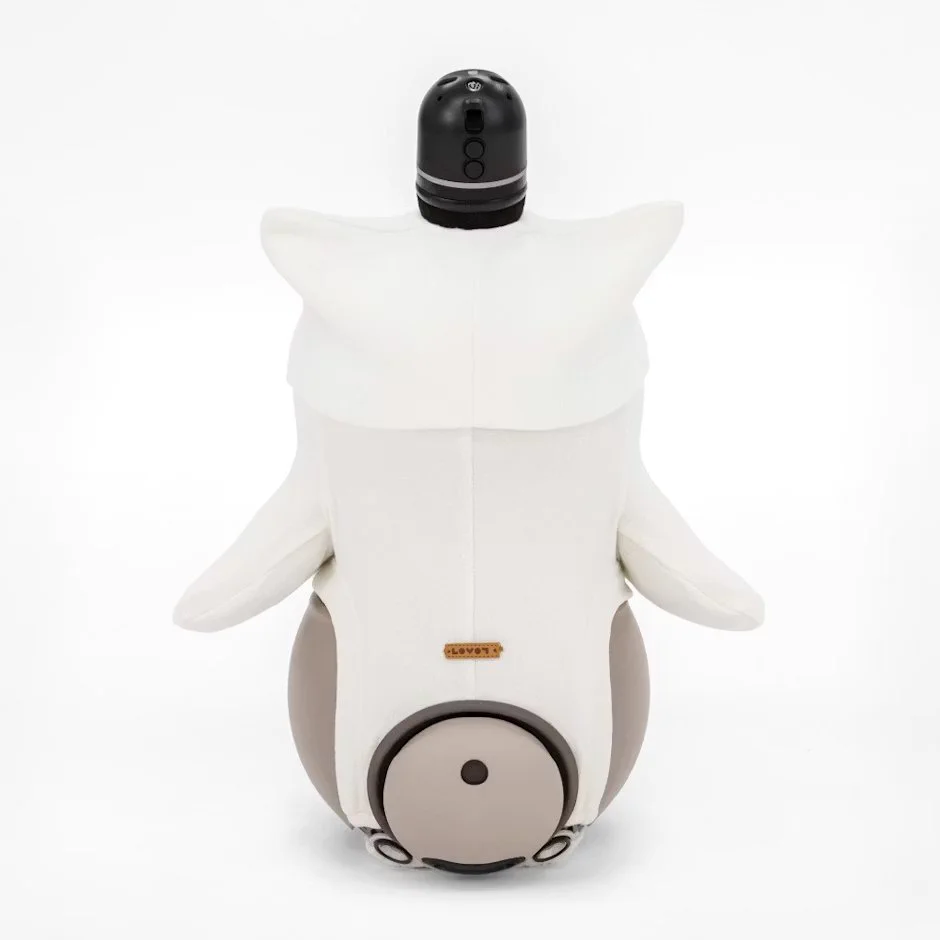 LOVOT すいかニットキャップ 熊本限定 LOVOT OFFICIAL on X: