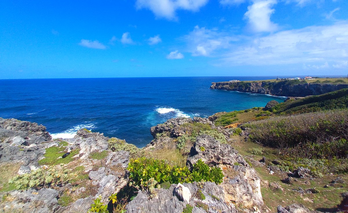Our_Barbados's tweet photo. Standing tall at Ragged Point, where rugged cliffs meet the Atlantic’s crashing waves and the horizon stretches endlessly 🌊  https://t.co/pfjI9oxMBe 
#barbados #raggedpoint #Lighthouse https://t.co/GLrlwdtoxh