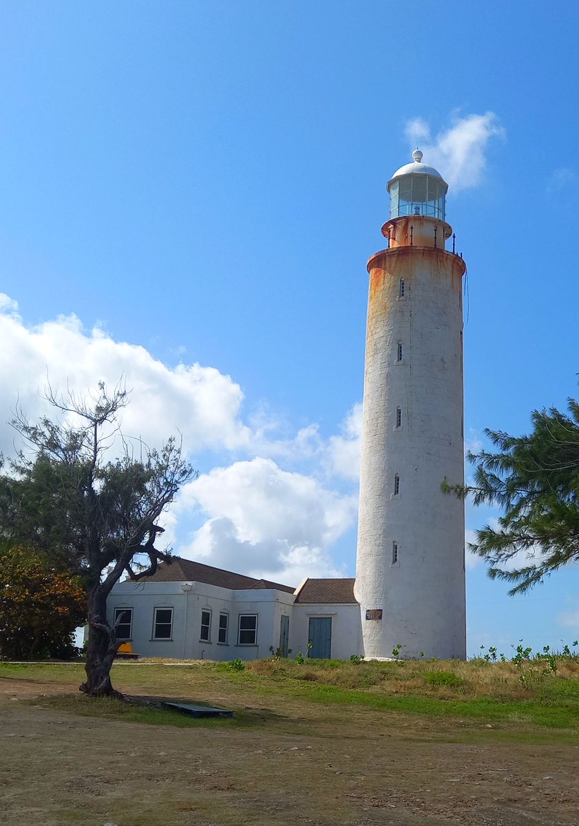 Our_Barbados's tweet photo. Standing tall at Ragged Point, where rugged cliffs meet the Atlantic’s crashing waves and the horizon stretches endlessly 🌊  https://t.co/pfjI9oxMBe 
#barbados #raggedpoint #Lighthouse https://t.co/GLrlwdtoxh