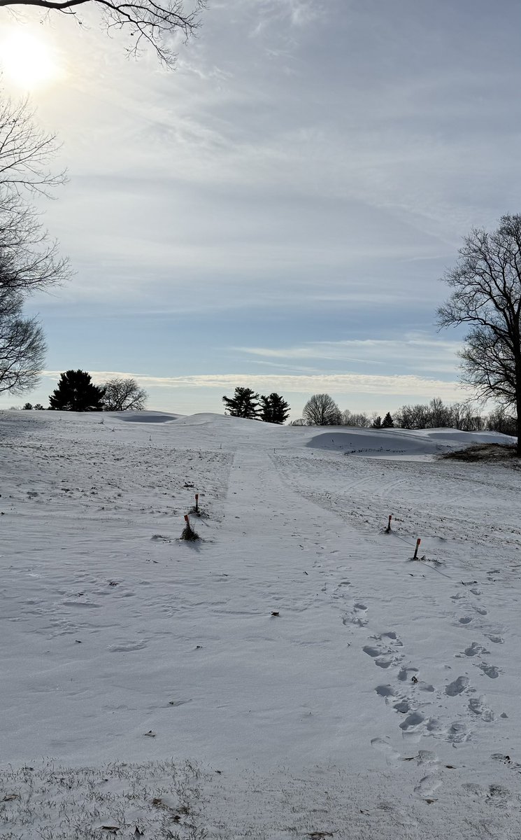 Michael Vessely tweet media