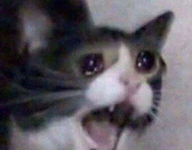 agora um desabafo: eu não sou uma pessoa muito carnavalesca no sentido de que sou mais caseira, n tenho muita energia pra bloquinhos etc. mas eu acho a cultura do Carnaval tão linda, eu n quero ser colocada no mesmo balaio de quem odeia carnaval por achar fútil do demônio etc