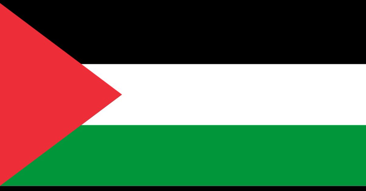 JosephRemnant's tweet photo. @SpencerJJoseph @TheRealXavierP @DrCaseyBabb @NBA It would t be a Palestinian flag without the triangles liar. https://t.co/wToiNlRuag