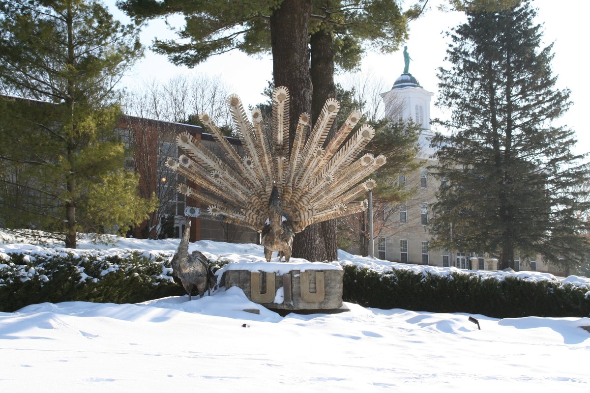 UpperIowa tweet media