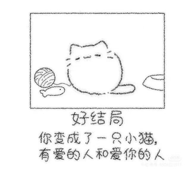 布丁大炮 tweet media