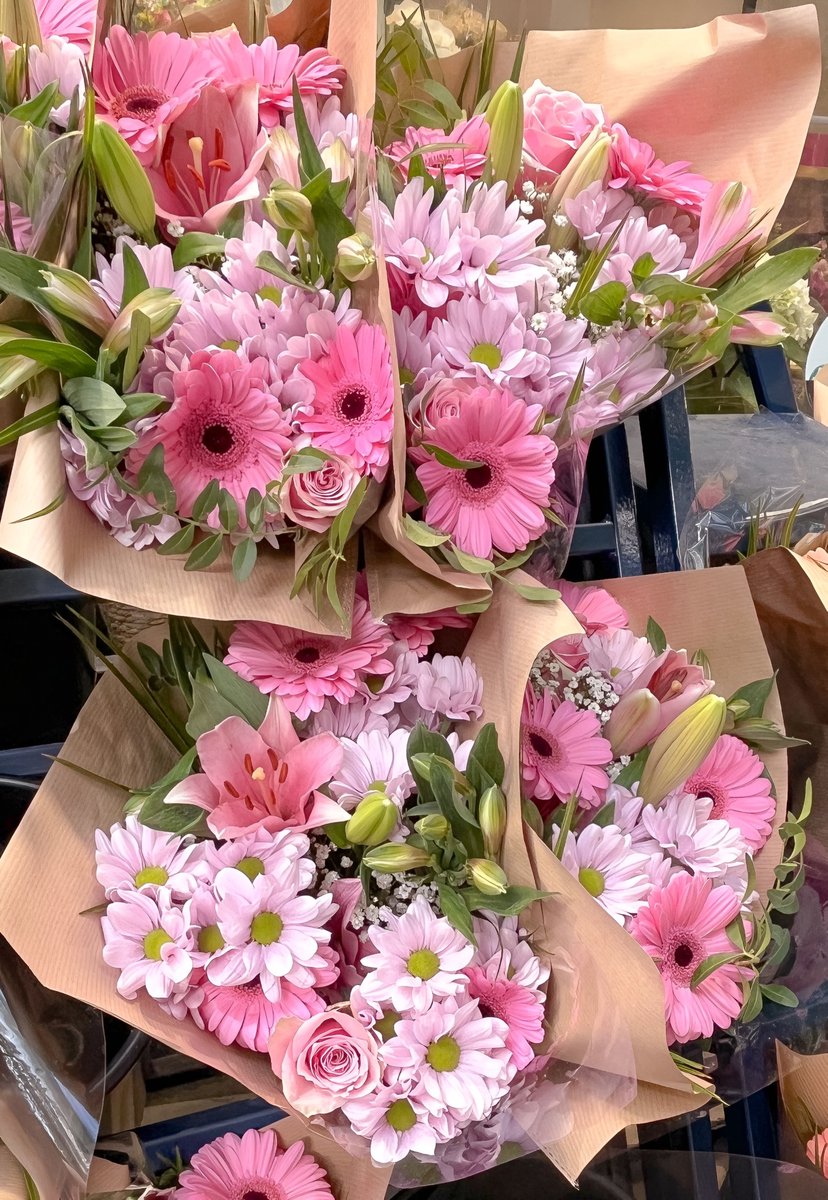 gardenofcolours's tweet image. 