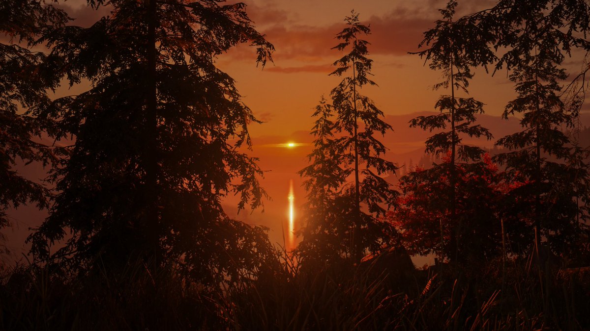 hl34ll's tweet photo. ALAN WAKE ll
#AlanWake2 #PhotoMode #VP https://t.co/fK6wZgJPUw