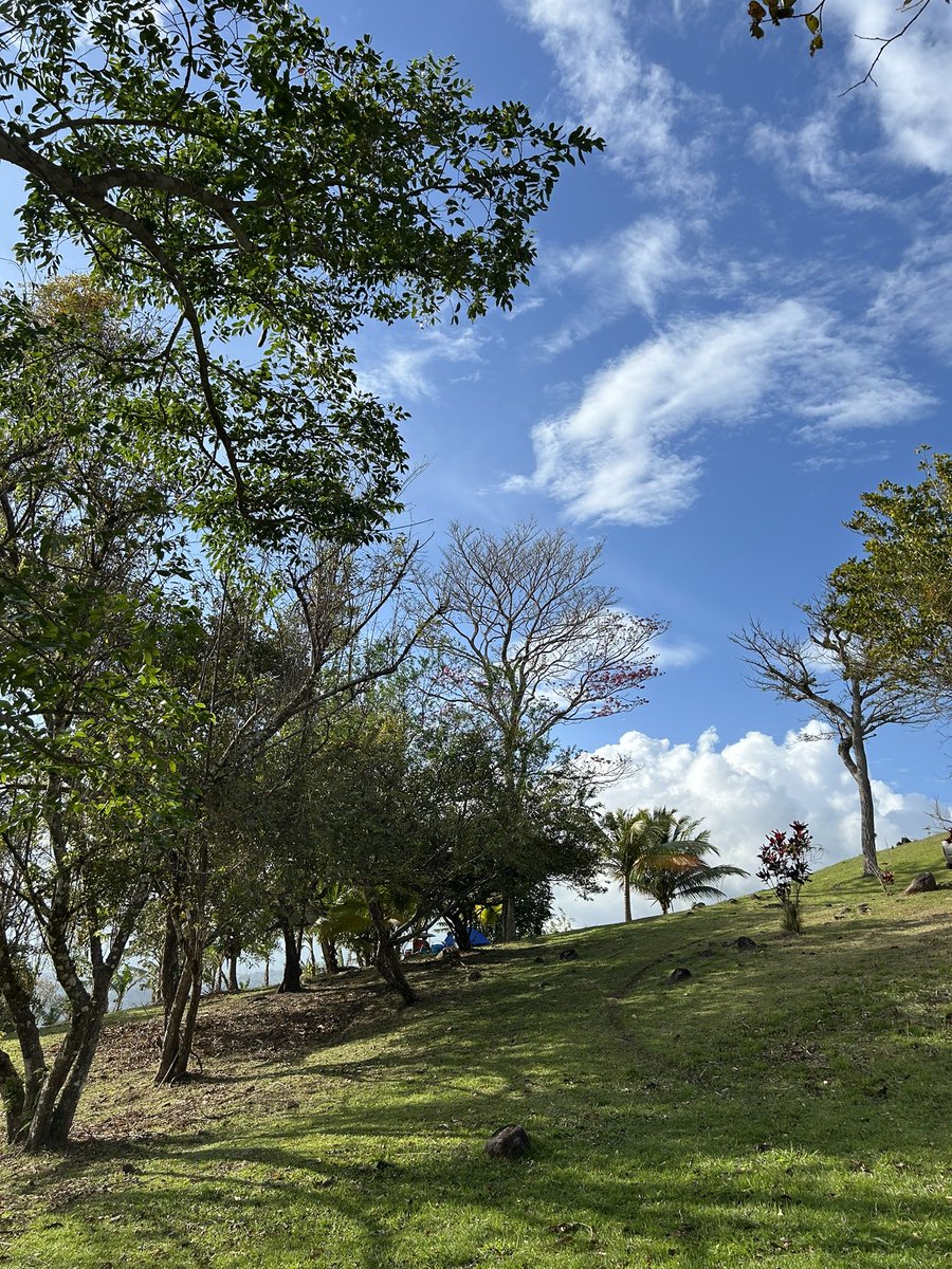 Recargando con la mejor energía 🏕️🙏🏻🫶🏻