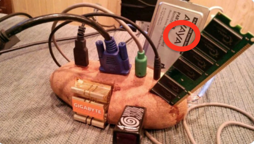 Daniel D'souza  tweet media