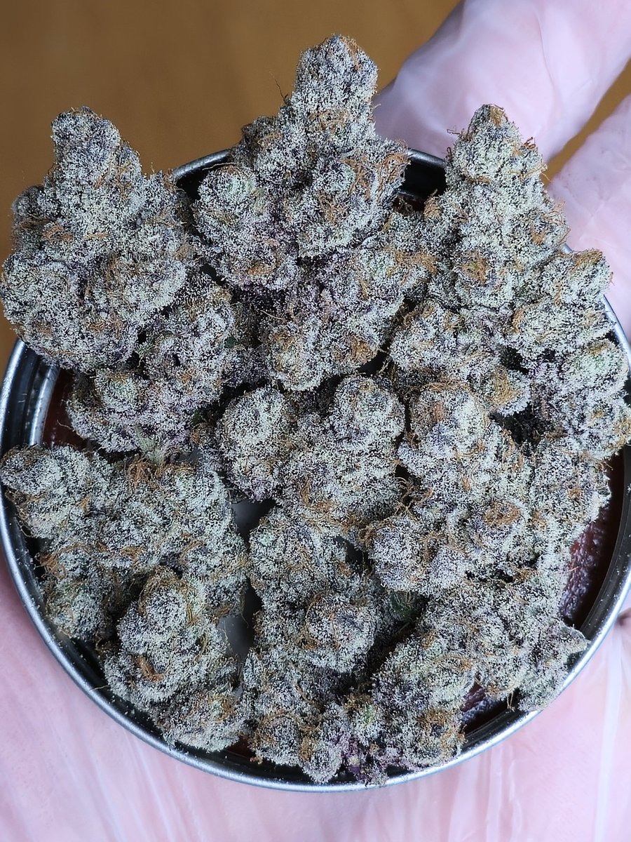 MEMBERS ONLY ⛽️ tweet media