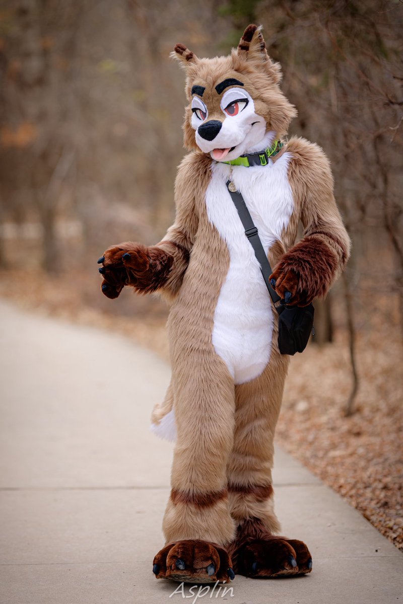 Dog out here taking himself of a walk 😎

📸- <a href="/asplinduh/">Asplin</a>