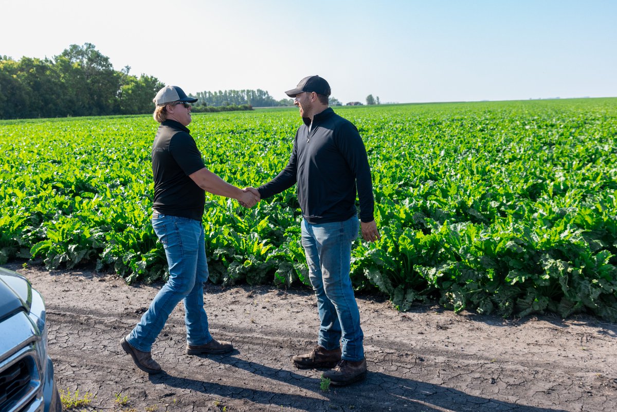 Crystal Sugar Co. tweet media