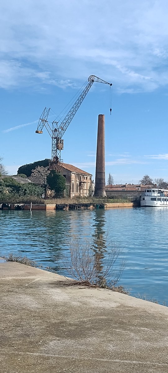 Marco Borghi tweet media