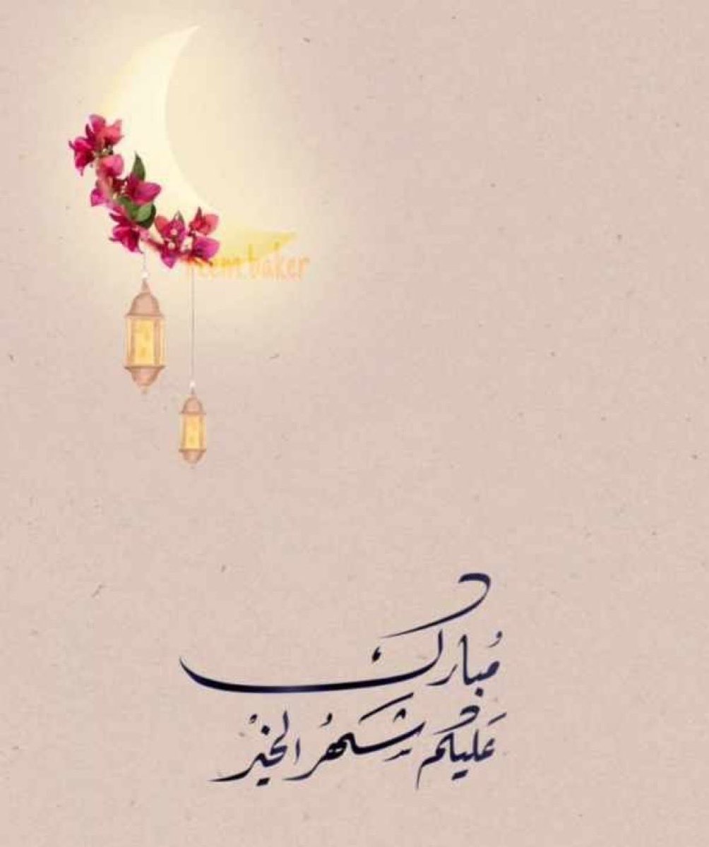 المطارفة tweet media