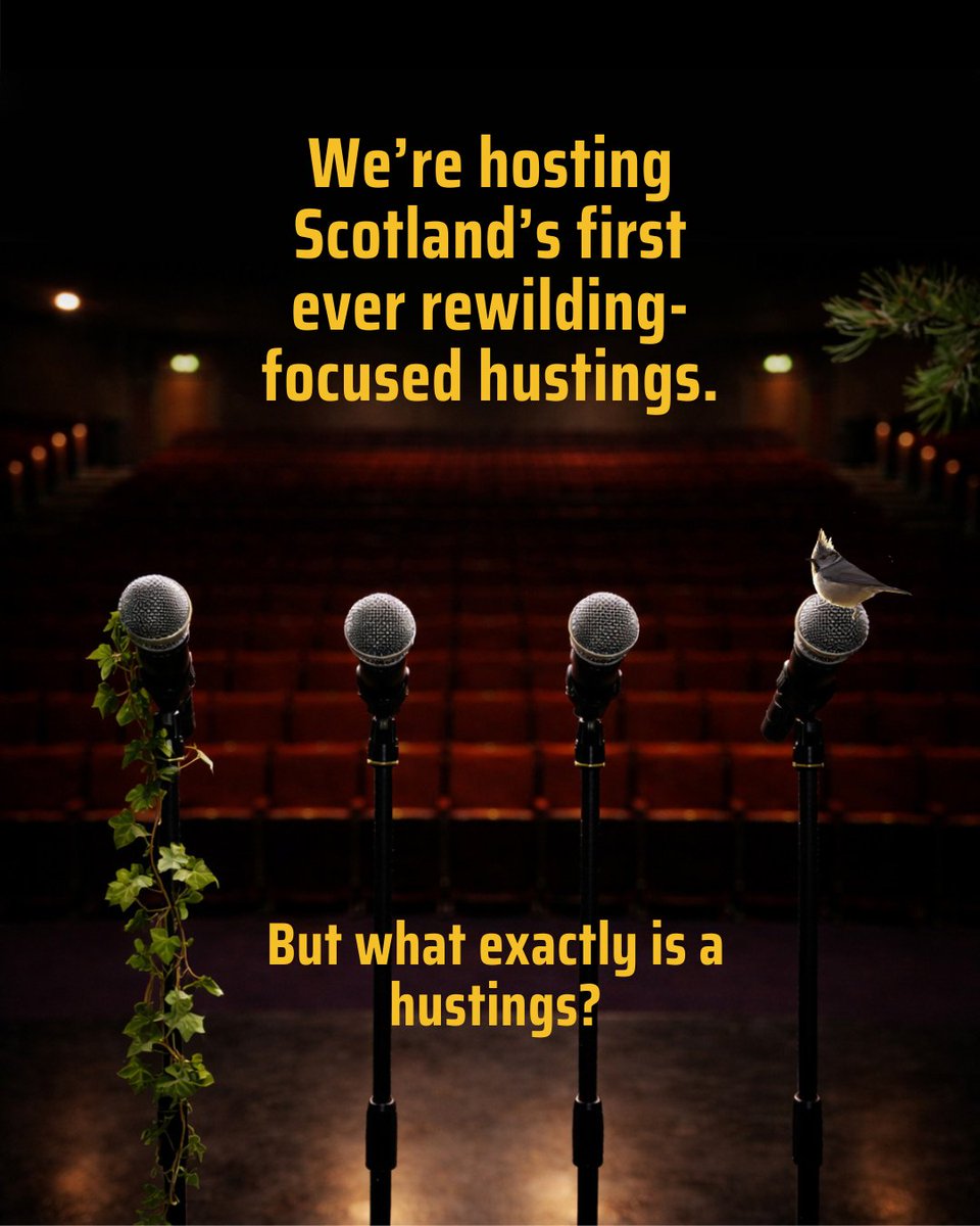 The Scottish Rewilding Alliance tweet media