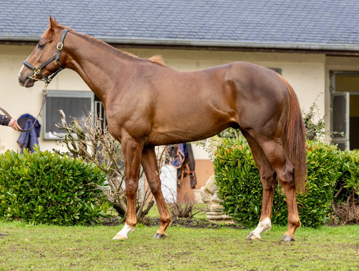 Amy Murphy Racing tweet media