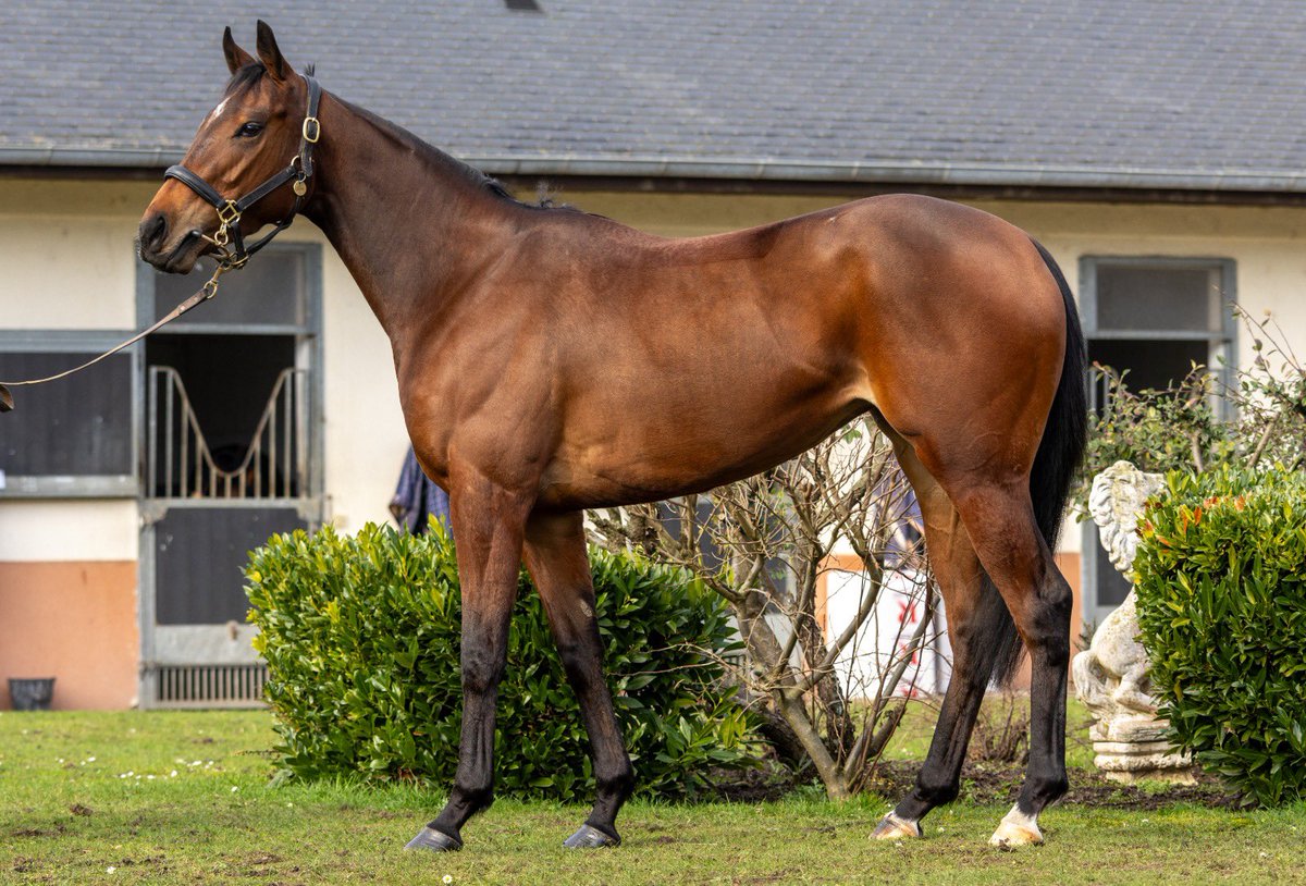 Amy Murphy Racing tweet media