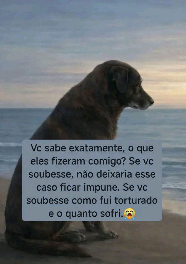 #BRAZILFORORELHA