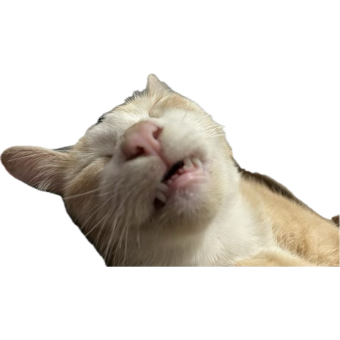 GATEL PENGEN GAMBAR YUDIS🤏🏻