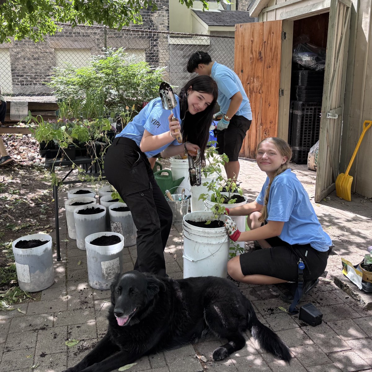 London Police Service ON tweet media