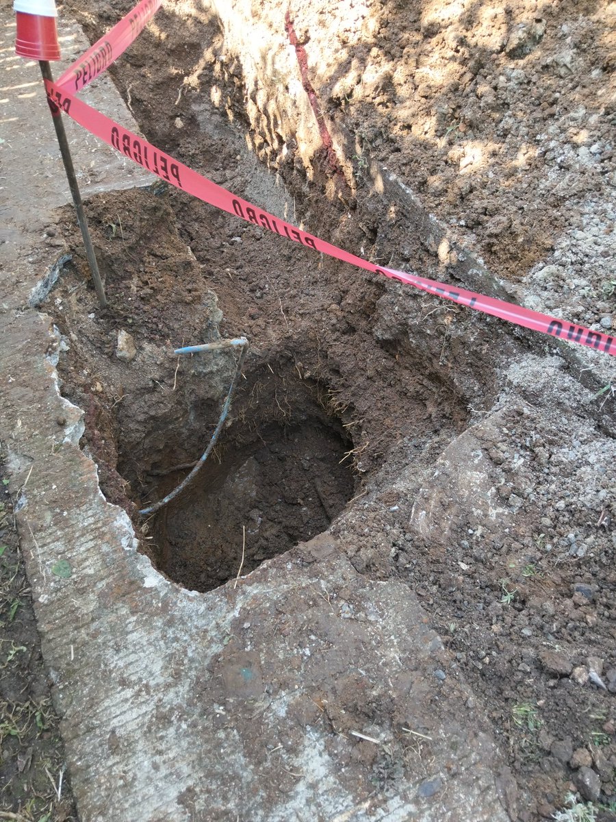 David Mustri Trejo tweet media