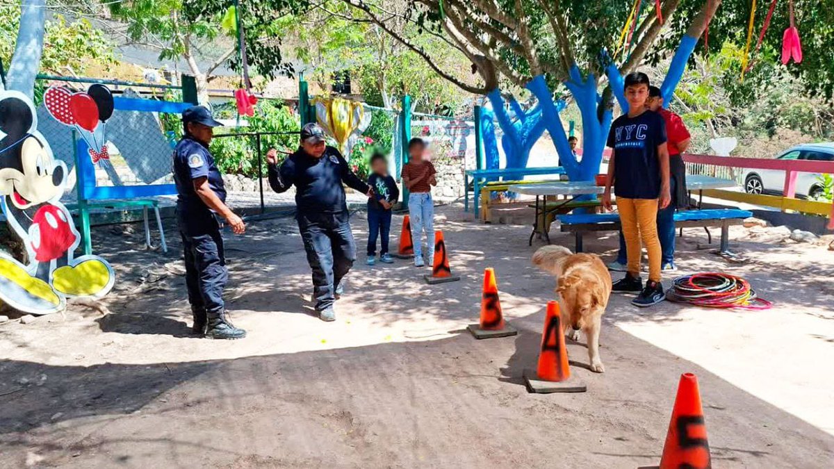 En Chilpancingo, elementos de la Policía Montada de la Secretaría de Seguridad Pública realizan sesiones del Programa de Zooterapia, que mediante equinoterapia, caninoterapia y terapias especializadas apoya el desarrollo físico, cognitivo y emocional de niñas, niños y