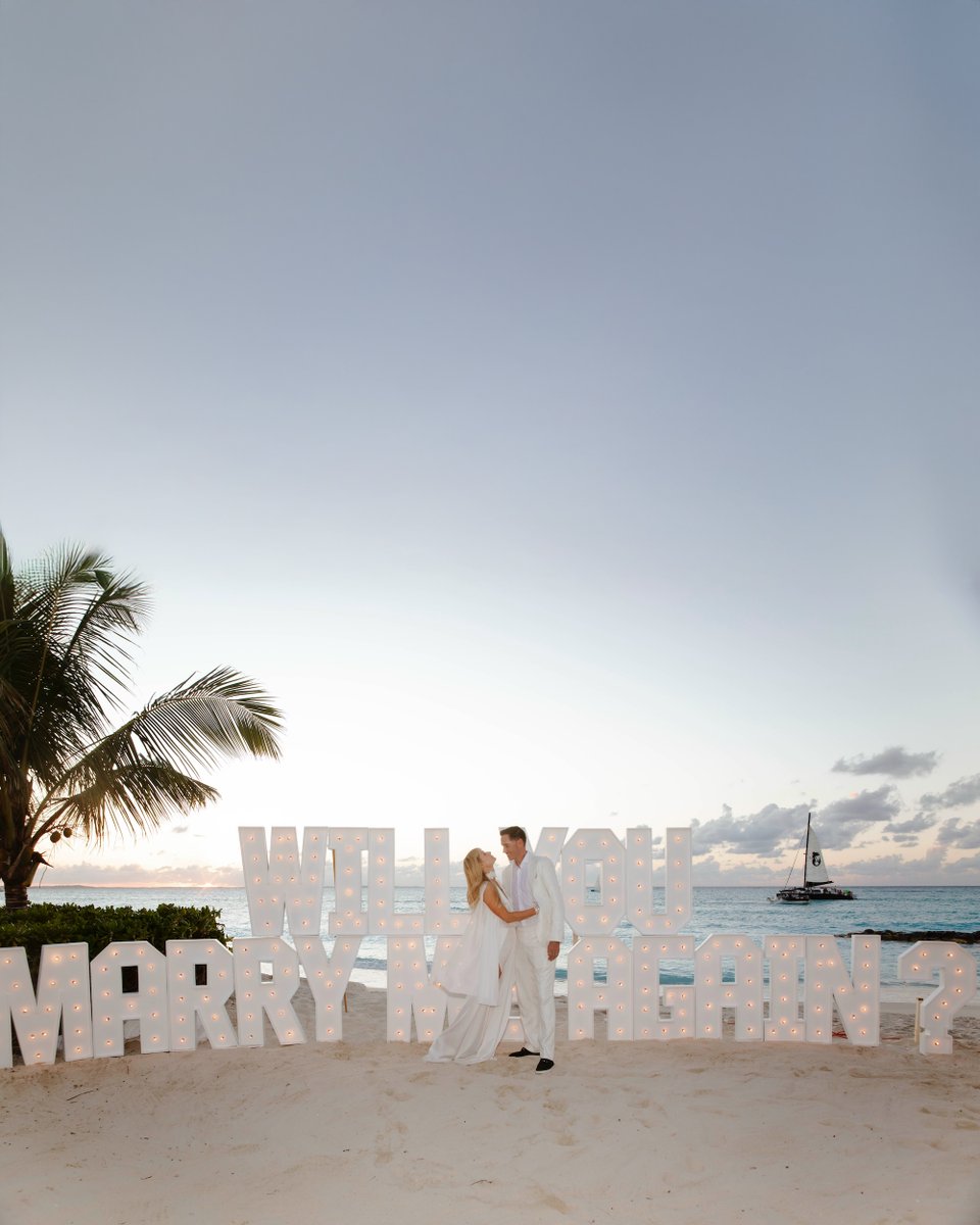 Paris Hilton tweet media