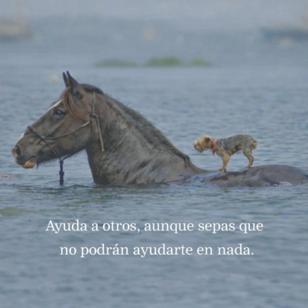 Hormiguita Productiva (@hproductiva) on Twitter photo 