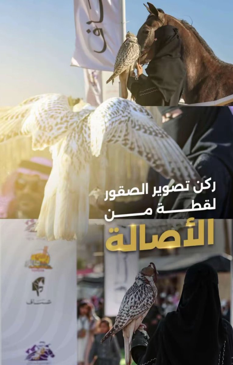 Entedar__'s tweet photo. للسنة الخامسة على التوالي، أواصل مشاركتي في #رالي_حائل_الدولي_2026 ، ضمن فعالية مصاحبة لـ @frusiyahail ،حيث كنت جزءًا  من عرض الصقور للسنة الثانية ،وقدمنا للزوار تجربة فريدة وإتاحة الفرصة لهم للتفاعل معها. 

وتبقى تجربة أعود لها كل عام بشغف . https://t.co/ErVn6SvtIq