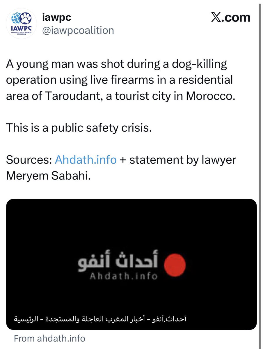 MarinaMedvin's tweet image. 🚨 Morocco is engaged in the mass slaughter of dogs ahead of the World Cup. They’re shooting them and worse, even hurting bystanders in the process.