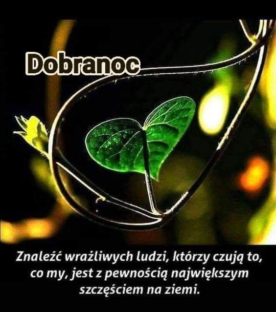 DOBRANOC, MORDECZKI 🇵🇱🇵🇱🇵🇱🥰💖✨🌺✨♥️♥️♥️👋