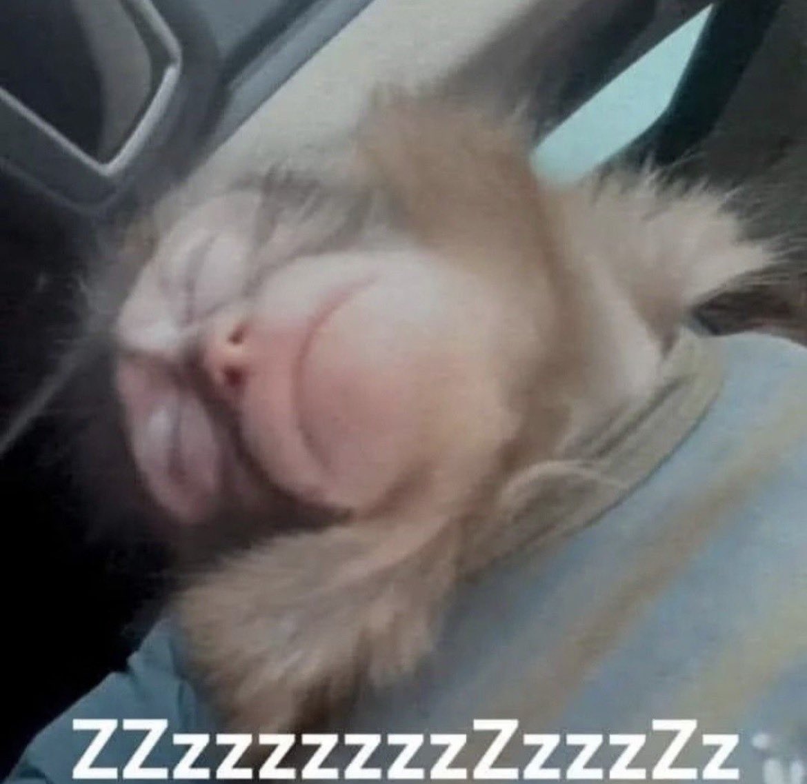 Ulises Durán ☻ (@ulises_duran) on Twitter photo 