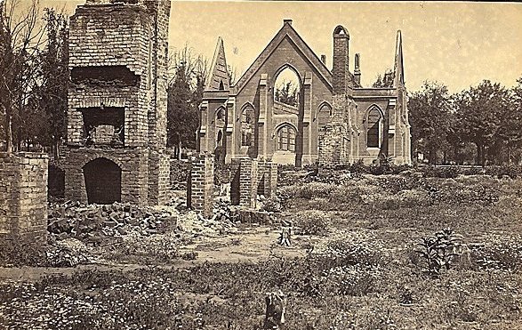 Carolina Gold tweet media