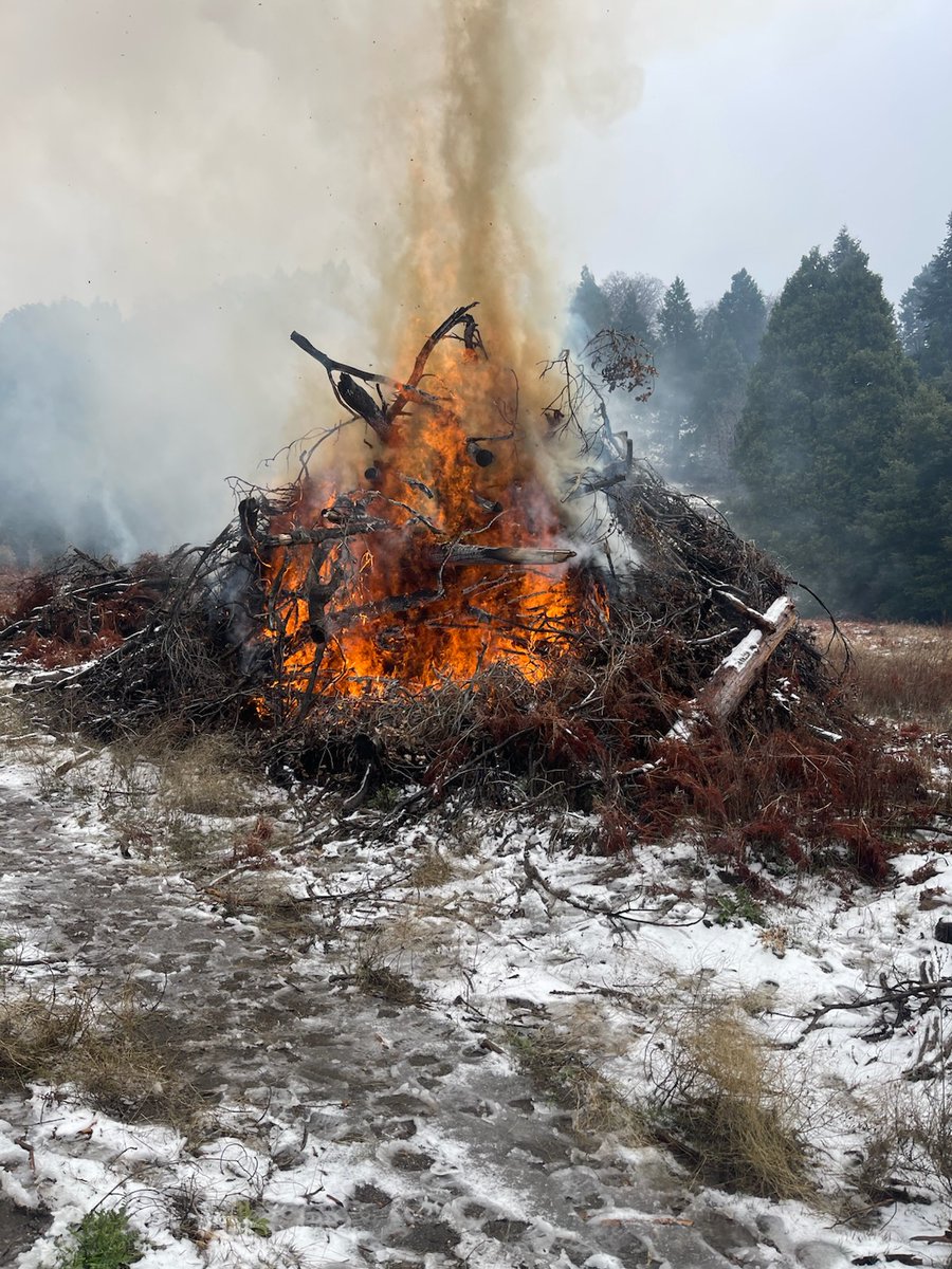 Cleveland NF tweet media