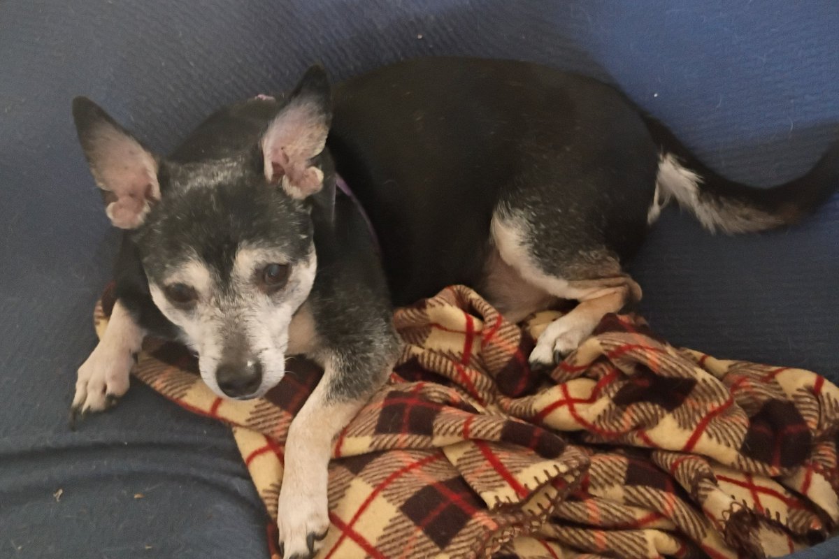 Prolife4Life48nc (@_godisnotdead_) on Twitter photo 