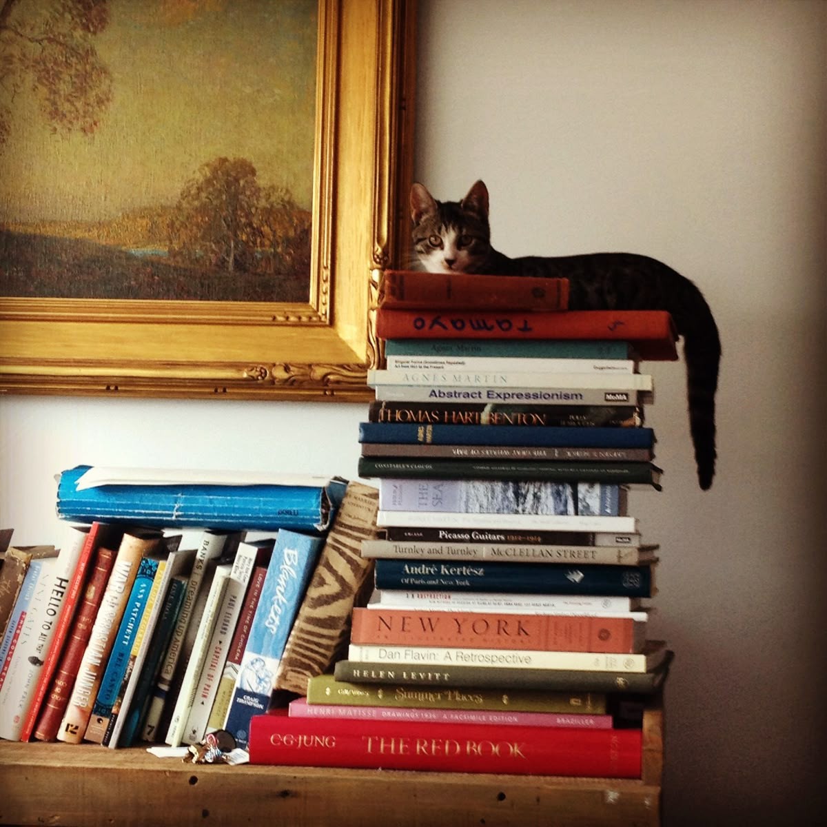 gregorio catarino tweet media