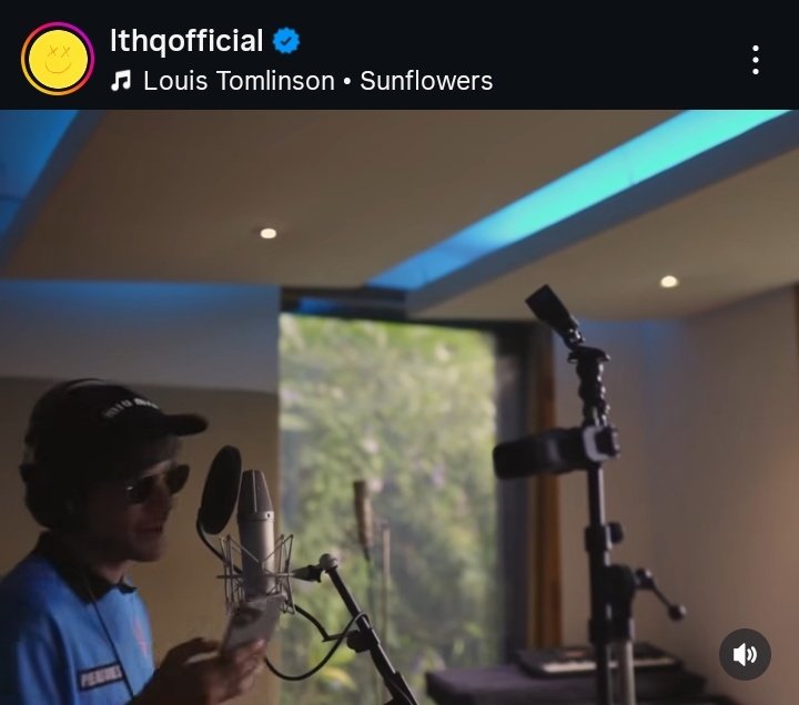 AND EVERYBODY LOVES SUNFLOWERS, AS THEY SHOULD!!!