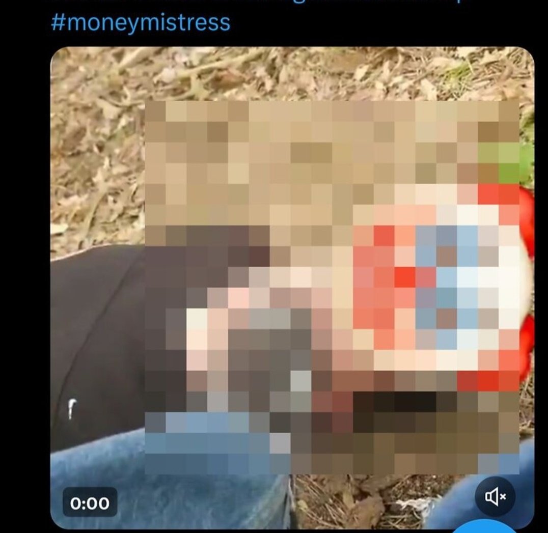 GingerSinnn's tweet photo. Zapraszam na moje nowe konto,
@Nyx3mpiree
aby zobaczyć filmik z uległym w roli głównej. Realna sesja w plenerze 

#findom #femdom #cashmeet #sesja #findomme #brattyfindom #brat #footdom #cuckold #mommy #NSFW #Fetish #RealSession #BDSMPoland #SesjaBDSM #Kink #Submission 
@rt_feet https://t.co/Sm8IapLr2D
