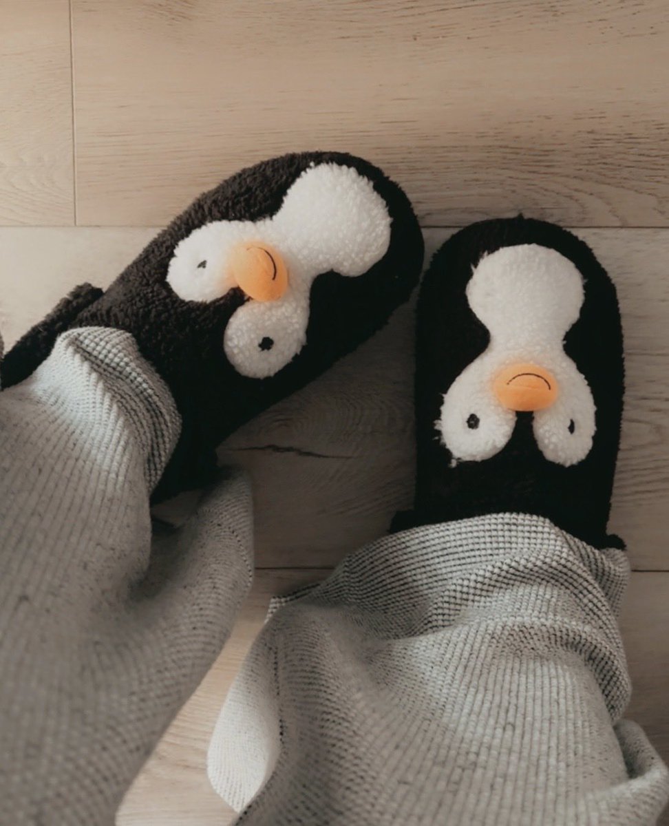 Feet pics; they’re asking you to come to stream

twitch.tv/aerup 🐧