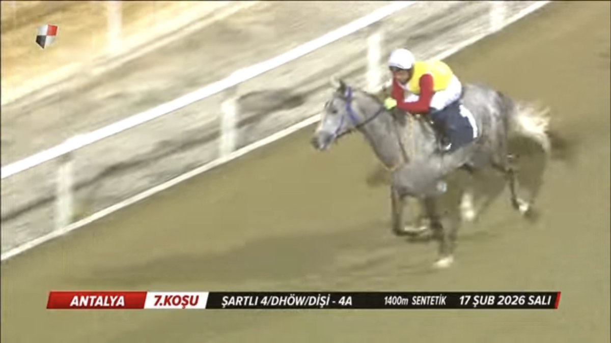 semih katı tweet media