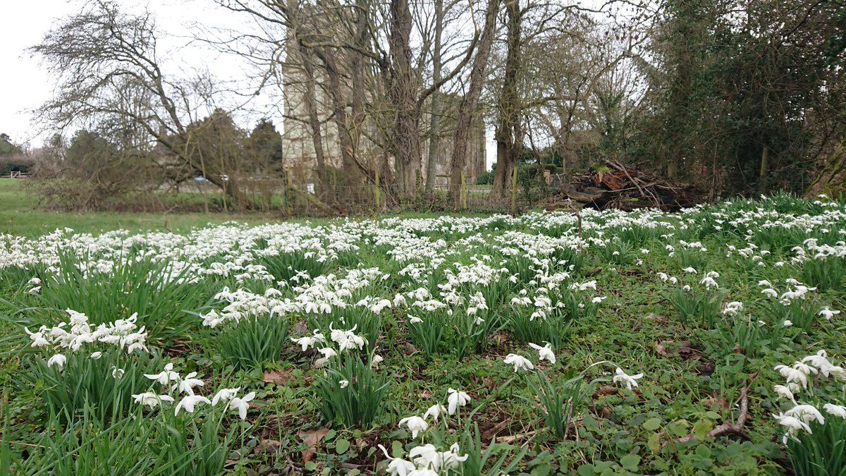 uk_crunch💙🏏🐶💙🇺🇦💛 tweet media