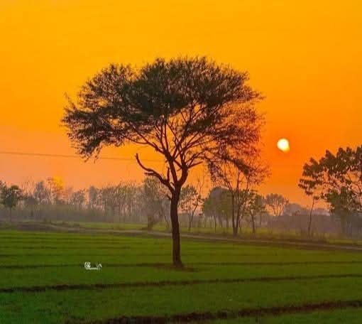 उम्मीद मत छोड़ो, जब आपको लगेगा कि अब कुछ नहीं हो सकता, तभी चमत्कार होगा!

Good morning/शुभ प्रभात साथियों 🌅✨