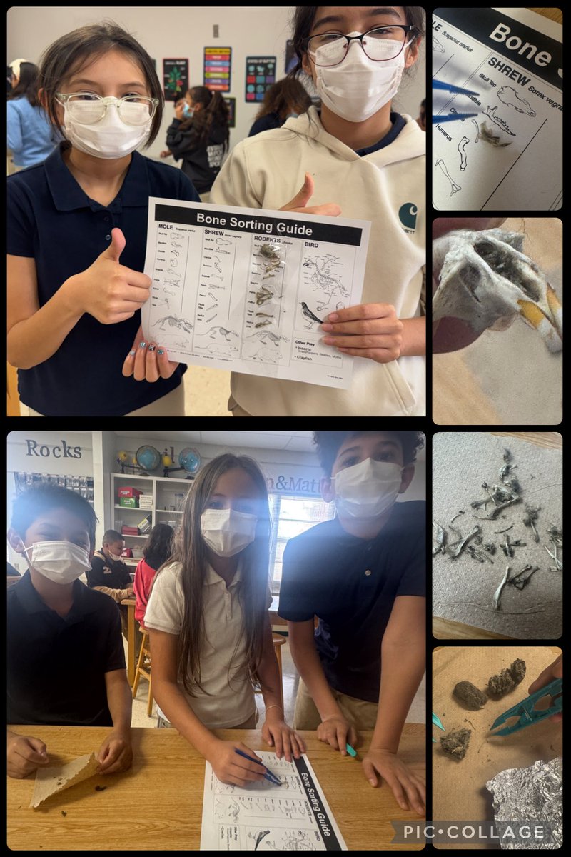 Maria Natera tweet media